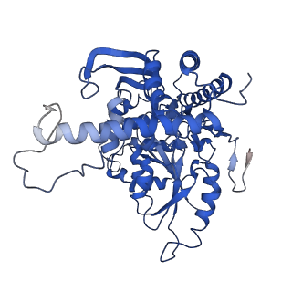 33869_7yj2_B_v1-1
Cryo-EM structure of SPT-ORMDL3 (ORMDL3-N13A) complex