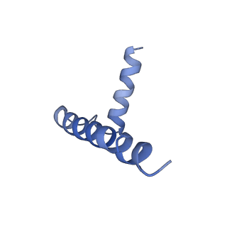 33869_7yj2_C_v1-1
Cryo-EM structure of SPT-ORMDL3 (ORMDL3-N13A) complex