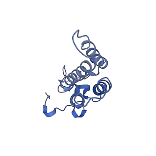 33869_7yj2_D_v1-1
Cryo-EM structure of SPT-ORMDL3 (ORMDL3-N13A) complex