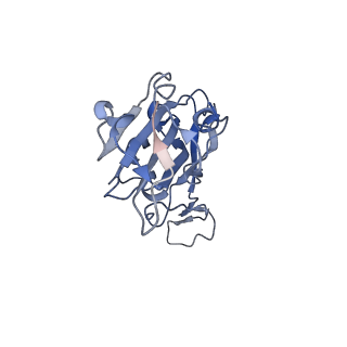 33870_7yj3_B_v1-1
Cryo-EM structure of SARS-CoV-2 Omicron BA.2 RBD in complex with human ACE2 (local refinement)