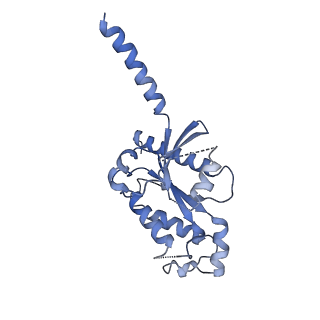 33871_7yj4_I_v1-0
Cryo-EM structure of the INSL5-bound human relaxin family peptidereceptor 4 (RXFP4)-Gi complex