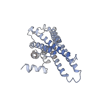 33871_7yj4_R_v1-0
Cryo-EM structure of the INSL5-bound human relaxin family peptidereceptor 4 (RXFP4)-Gi complex