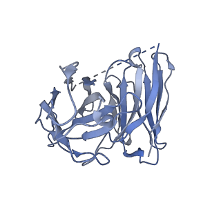 33871_7yj4_S_v1-0
Cryo-EM structure of the INSL5-bound human relaxin family peptidereceptor 4 (RXFP4)-Gi complex