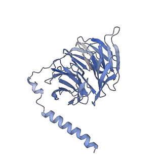 33871_7yj4_T_v1-0
Cryo-EM structure of the INSL5-bound human relaxin family peptidereceptor 4 (RXFP4)-Gi complex