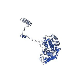 33873_7yjk_E_v1-2
Cryo-EM structure of the dimeric atSPT-ORM1 complex