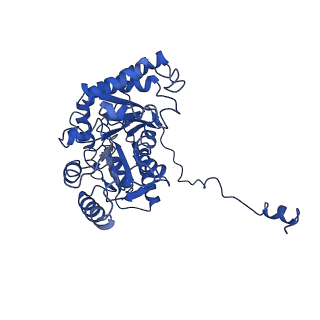 33874_7yjm_A_v1-2
Cryo-EM structure of the monomeric atSPT-ORM1 complex