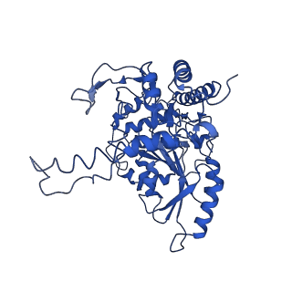 33874_7yjm_B_v1-2
Cryo-EM structure of the monomeric atSPT-ORM1 complex