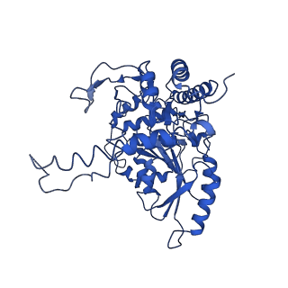 33874_7yjm_B_v1-3
Cryo-EM structure of the monomeric atSPT-ORM1 complex