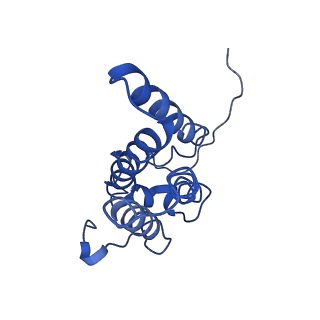 33874_7yjm_D_v1-3
Cryo-EM structure of the monomeric atSPT-ORM1 complex