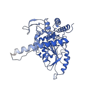 33875_7yjn_B_v1-3
Cryo-EM structure of the monomeric atSPT-ORM1 (ORM1-N17A) complex