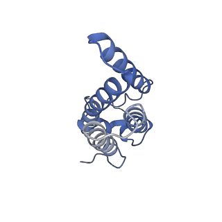 33875_7yjn_D_v1-2
Cryo-EM structure of the monomeric atSPT-ORM1 (ORM1-N17A) complex