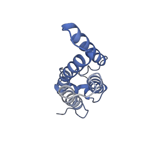 33875_7yjn_D_v1-3
Cryo-EM structure of the monomeric atSPT-ORM1 (ORM1-N17A) complex