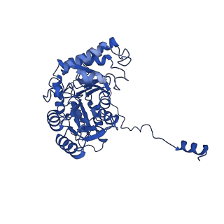 33876_7yjo_A_v1-3
Cryo-EM structure of the monomeric atSPT-ORM1 (LCB2a-deltaN5) complex