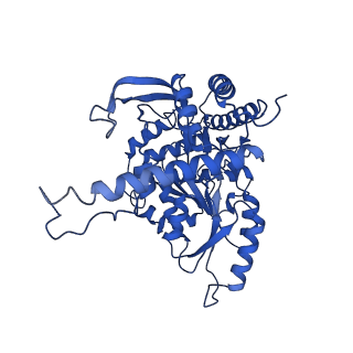33876_7yjo_B_v1-2
Cryo-EM structure of the monomeric atSPT-ORM1 (LCB2a-deltaN5) complex