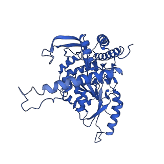 33876_7yjo_B_v1-3
Cryo-EM structure of the monomeric atSPT-ORM1 (LCB2a-deltaN5) complex