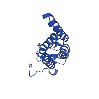 33876_7yjo_D_v1-2
Cryo-EM structure of the monomeric atSPT-ORM1 (LCB2a-deltaN5) complex