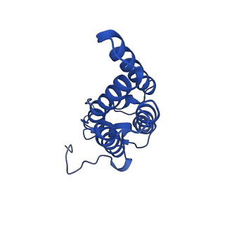 33876_7yjo_D_v1-3
Cryo-EM structure of the monomeric atSPT-ORM1 (LCB2a-deltaN5) complex