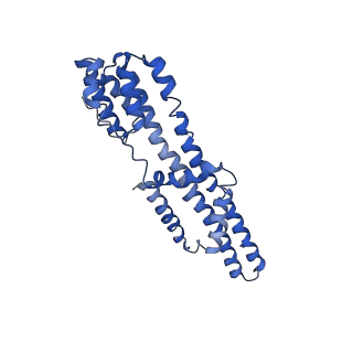 10828_6ykm_C_v1-1
Structure of C. jejuni MotAB