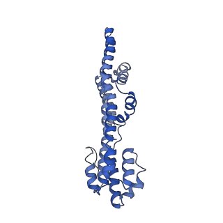 10830_6ykr_C_v1-1
Structure of a protonation mimic of unplugged C. jejuni MotAB