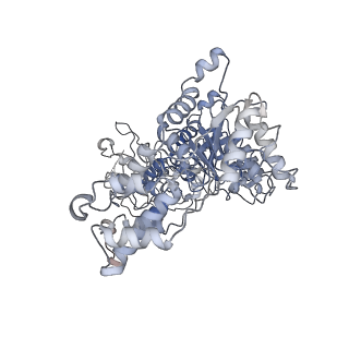 32402_7ykz_B_v1-0
Cryo-EM structure of Drg1 hexamer in the planar state treated with ADP/AMPPNP/Diazaborine