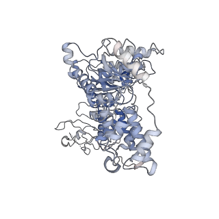 32402_7ykz_C_v1-0
Cryo-EM structure of Drg1 hexamer in the planar state treated with ADP/AMPPNP/Diazaborine