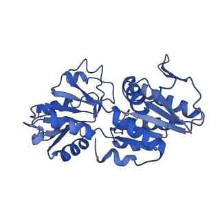 33883_7yk1_B_v1-1
Structural basis of human PRPS2 filaments