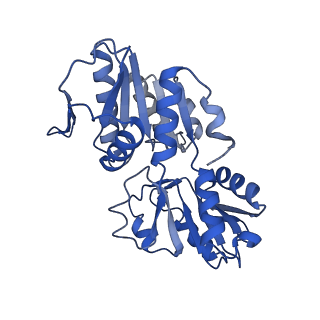 33883_7yk1_C_v1-1
Structural basis of human PRPS2 filaments