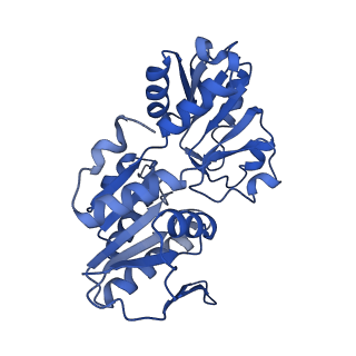 33883_7yk1_D_v1-1
Structural basis of human PRPS2 filaments
