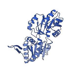 33883_7yk1_E_v1-1
Structural basis of human PRPS2 filaments