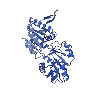 33883_7yk1_F_v1-1
Structural basis of human PRPS2 filaments