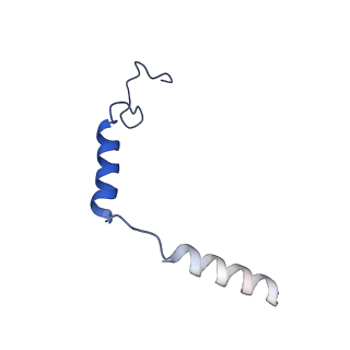 33888_7yk6_G_v1-0
Cryo-EM structure of the compound 4-bound human relaxin family peptide receptor 4 (RXFP4)-Gi complex