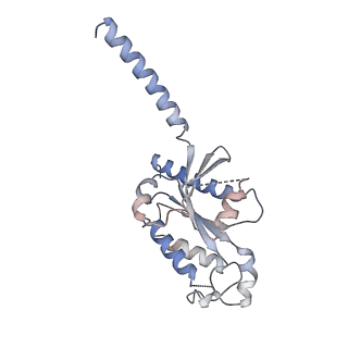 33888_7yk6_I_v1-0
Cryo-EM structure of the compound 4-bound human relaxin family peptide receptor 4 (RXFP4)-Gi complex