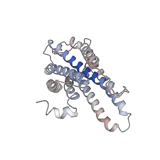 33888_7yk6_R_v1-0
Cryo-EM structure of the compound 4-bound human relaxin family peptide receptor 4 (RXFP4)-Gi complex