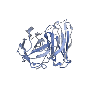 33888_7yk6_S_v1-0
Cryo-EM structure of the compound 4-bound human relaxin family peptide receptor 4 (RXFP4)-Gi complex