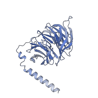 33888_7yk6_T_v1-0
Cryo-EM structure of the compound 4-bound human relaxin family peptide receptor 4 (RXFP4)-Gi complex