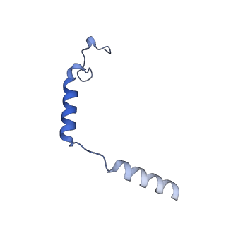 33889_7yk7_G_v1-0
Cryo-EM structure of the DC591053-bound human relaxin family peptide receptor 4 (RXFP4)-Gi complex