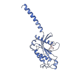 33889_7yk7_I_v1-0
Cryo-EM structure of the DC591053-bound human relaxin family peptide receptor 4 (RXFP4)-Gi complex