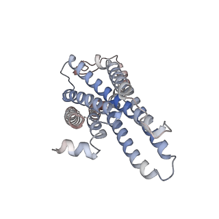 33889_7yk7_R_v1-0
Cryo-EM structure of the DC591053-bound human relaxin family peptide receptor 4 (RXFP4)-Gi complex