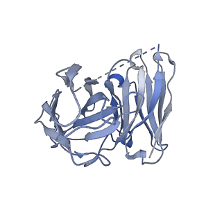 33889_7yk7_S_v1-0
Cryo-EM structure of the DC591053-bound human relaxin family peptide receptor 4 (RXFP4)-Gi complex