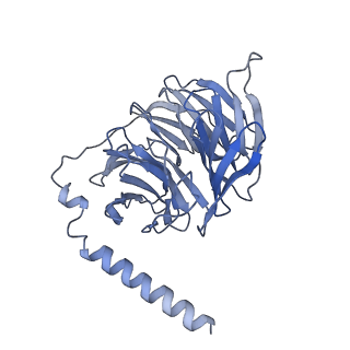 33889_7yk7_T_v1-0
Cryo-EM structure of the DC591053-bound human relaxin family peptide receptor 4 (RXFP4)-Gi complex