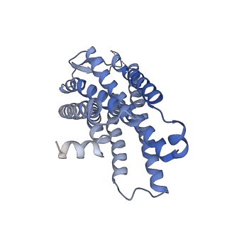 33891_7ykd_A_v1-0
Cryo-EM structure of the human chemerin receptor 1 complex with the C-terminal nonapeptide of chemerin