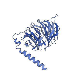 33891_7ykd_B_v1-0
Cryo-EM structure of the human chemerin receptor 1 complex with the C-terminal nonapeptide of chemerin