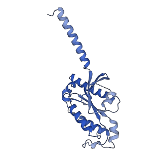 33891_7ykd_C_v1-0
Cryo-EM structure of the human chemerin receptor 1 complex with the C-terminal nonapeptide of chemerin