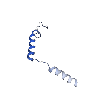 33891_7ykd_G_v1-0
Cryo-EM structure of the human chemerin receptor 1 complex with the C-terminal nonapeptide of chemerin