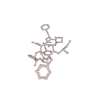 33891_7ykd_L_v1-0
Cryo-EM structure of the human chemerin receptor 1 complex with the C-terminal nonapeptide of chemerin