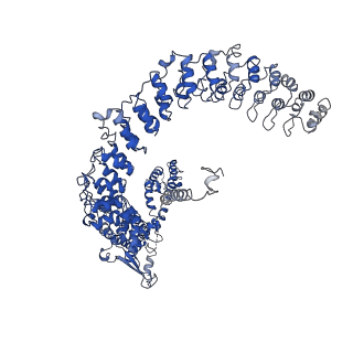 33895_7ykr_A_v2-0
Structure of TRPA1 in Drosophila melanogaster in a state with 17 ankyrin repeats determined