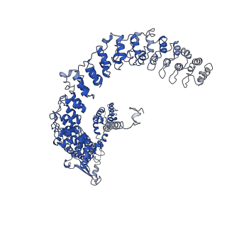 33895_7ykr_A_v2-1
Structure of TRPA1 in Drosophila melanogaster in a state with 17 ankyrin repeats determined