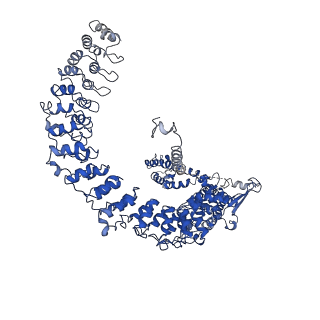 33895_7ykr_B_v2-0
Structure of TRPA1 in Drosophila melanogaster in a state with 17 ankyrin repeats determined