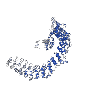33895_7ykr_C_v2-0
Structure of TRPA1 in Drosophila melanogaster in a state with 17 ankyrin repeats determined