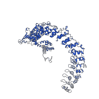 33895_7ykr_D_v2-1
Structure of TRPA1 in Drosophila melanogaster in a state with 17 ankyrin repeats determined